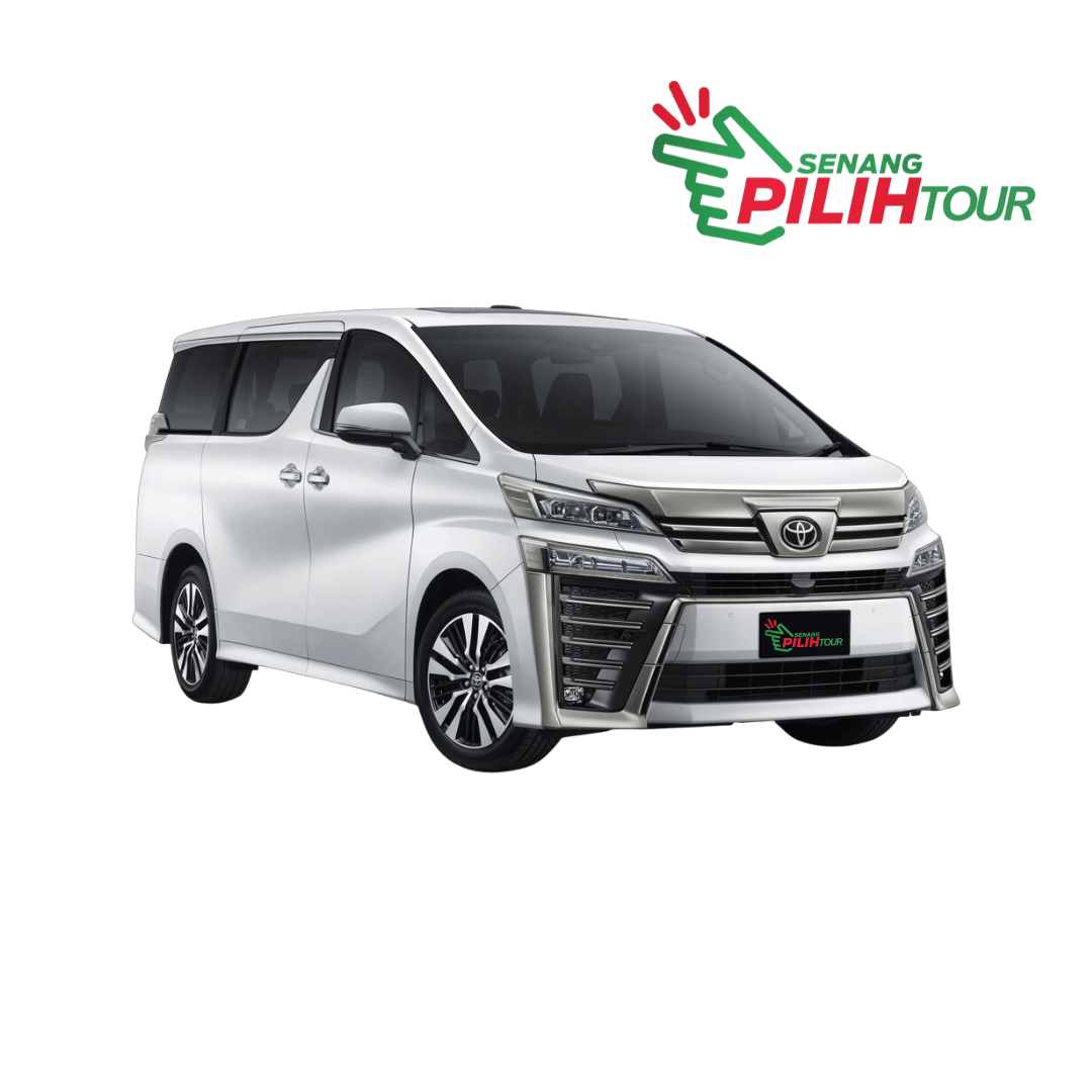 Toyota Vellfire VIP 6 seater (2019)